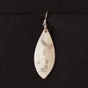 Feuille de nuage